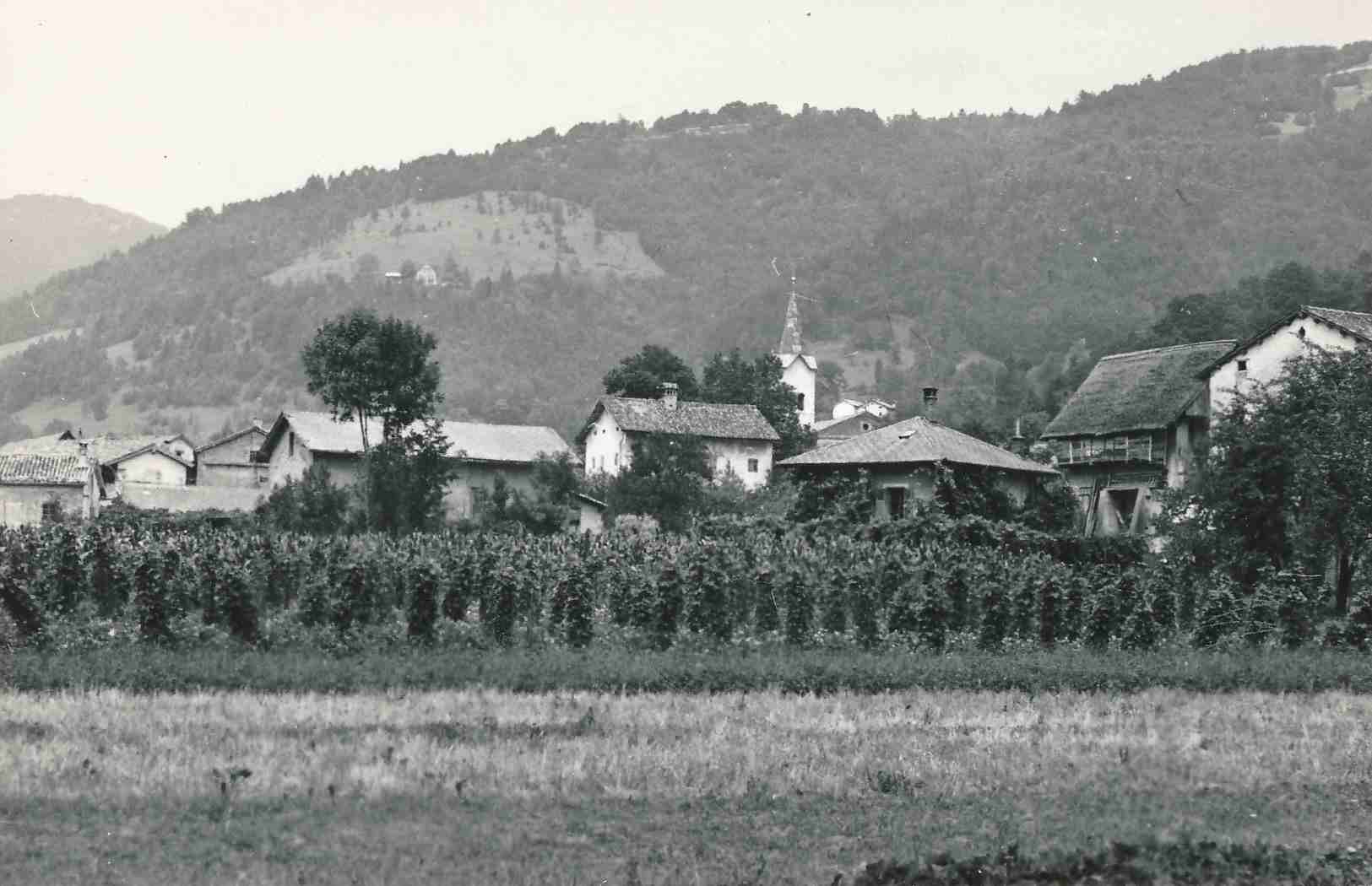 eika image